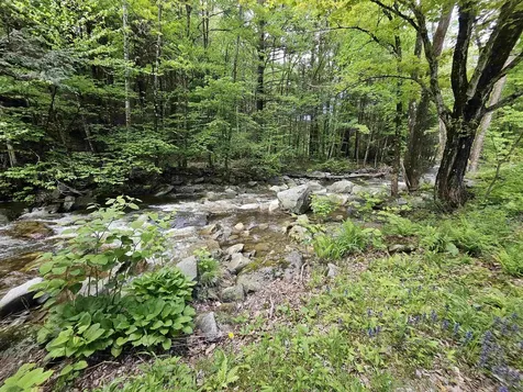 268 South Wardsboro Road Newfane VT 05345