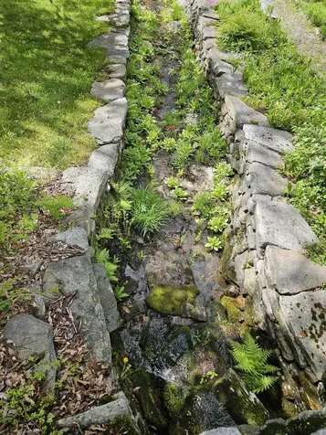 268 South Wardsboro Road Newfane VT 05345