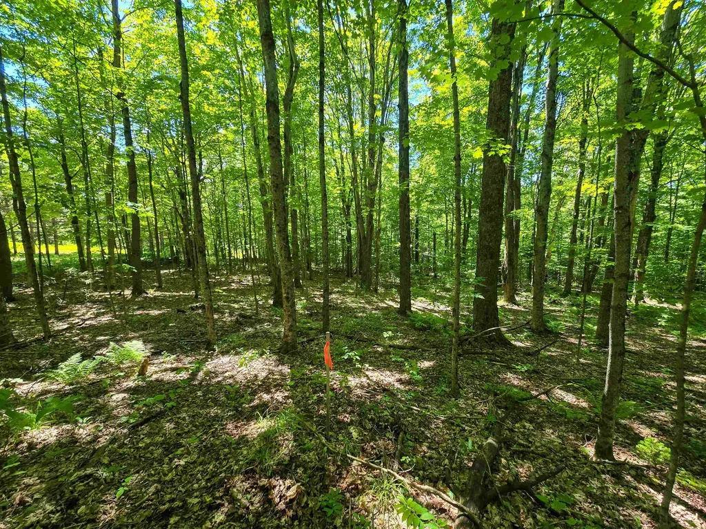 625 French Settlement Road Lincoln VT 05443