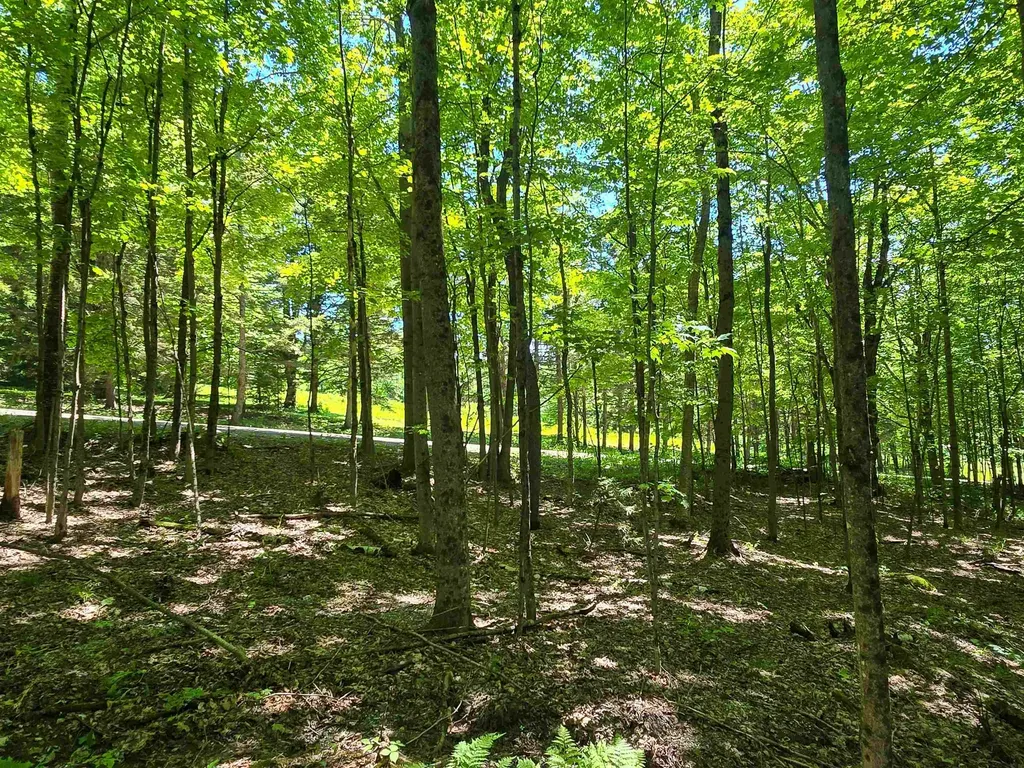 625 French Settlement Road Lincoln VT 05443