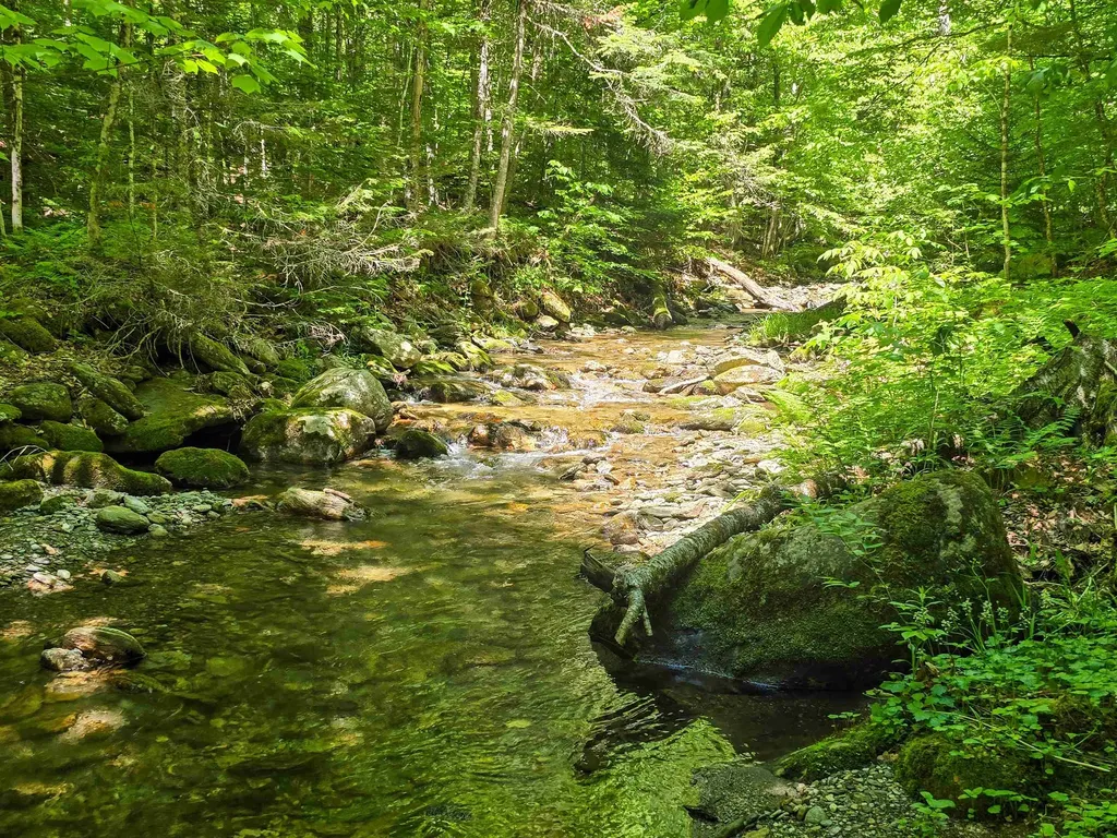 625 French Settlement Road Lincoln VT 05443