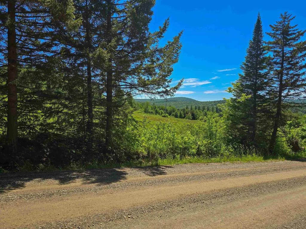 625 French Settlement Road Lincoln VT 05443
