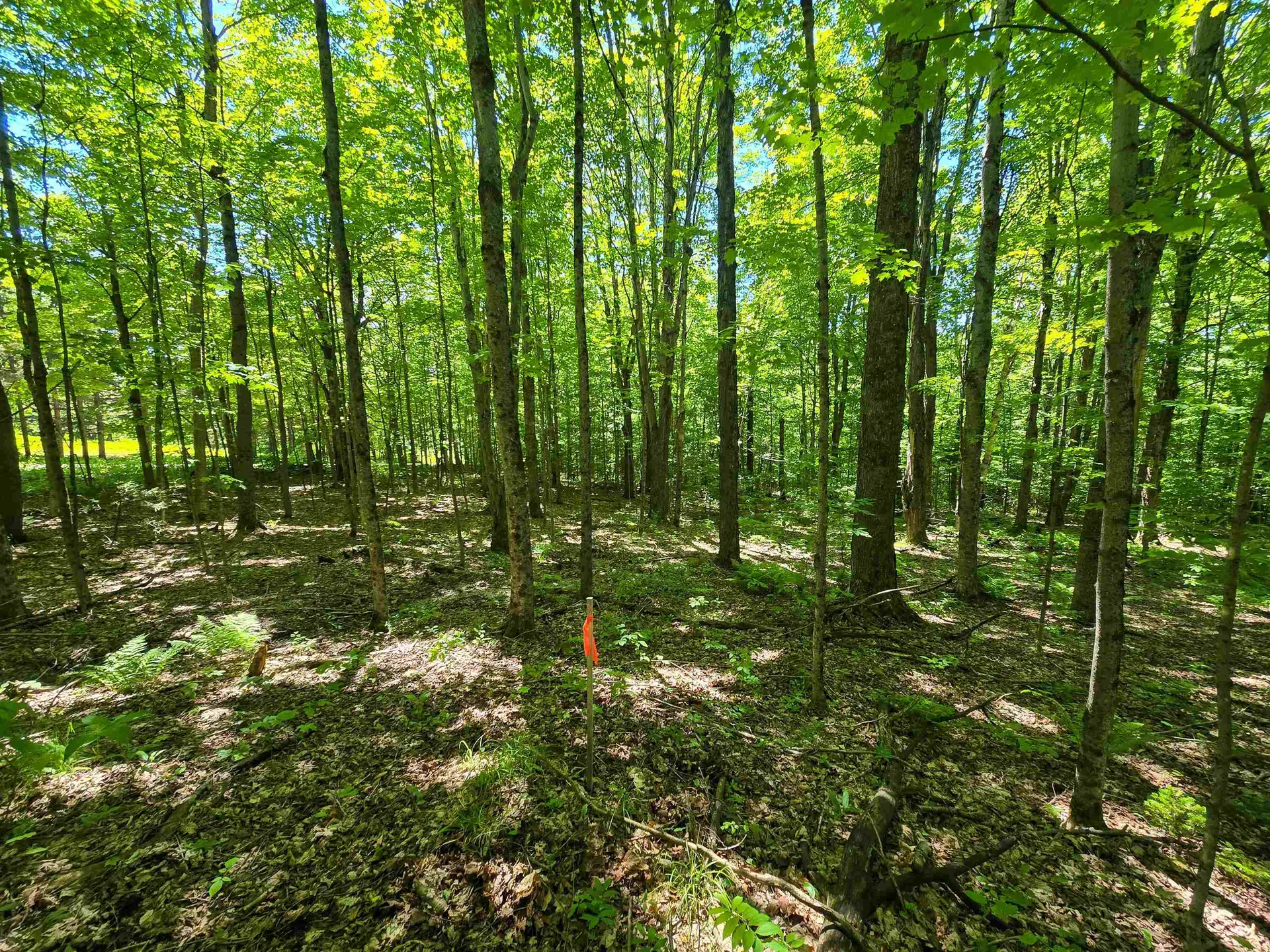 625 French Settlement Road Lincoln VT 05443