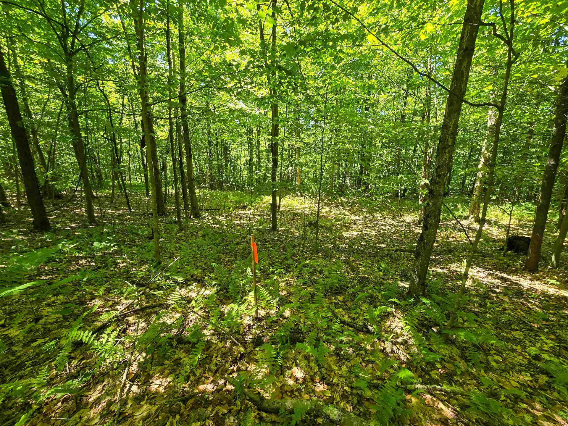 625 French Settlement Road Lincoln VT 05443
