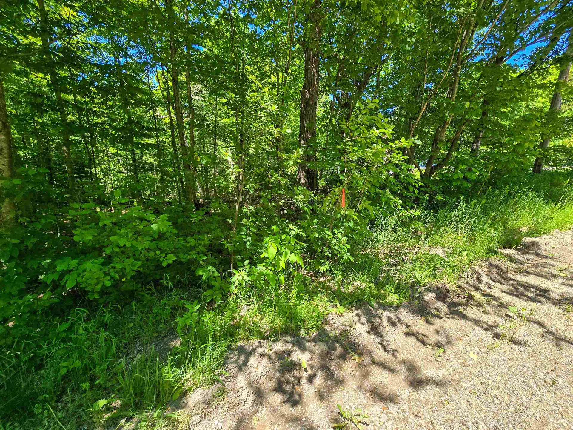 625 French Settlement Road Lincoln VT 05443