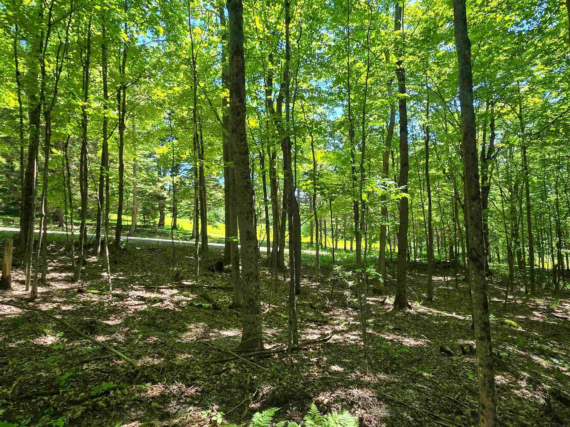 625 French Settlement Road Lincoln VT 05443