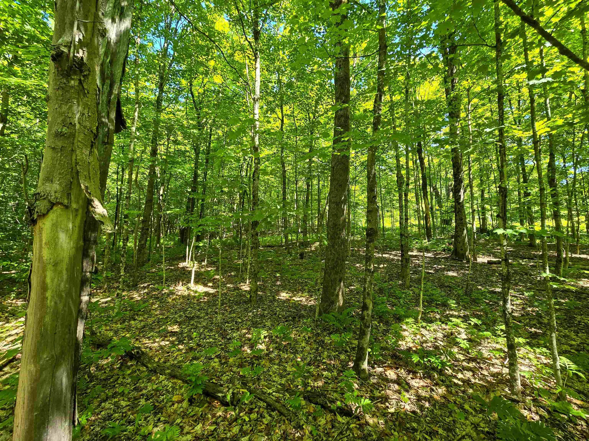 625 French Settlement Road Lincoln VT 05443