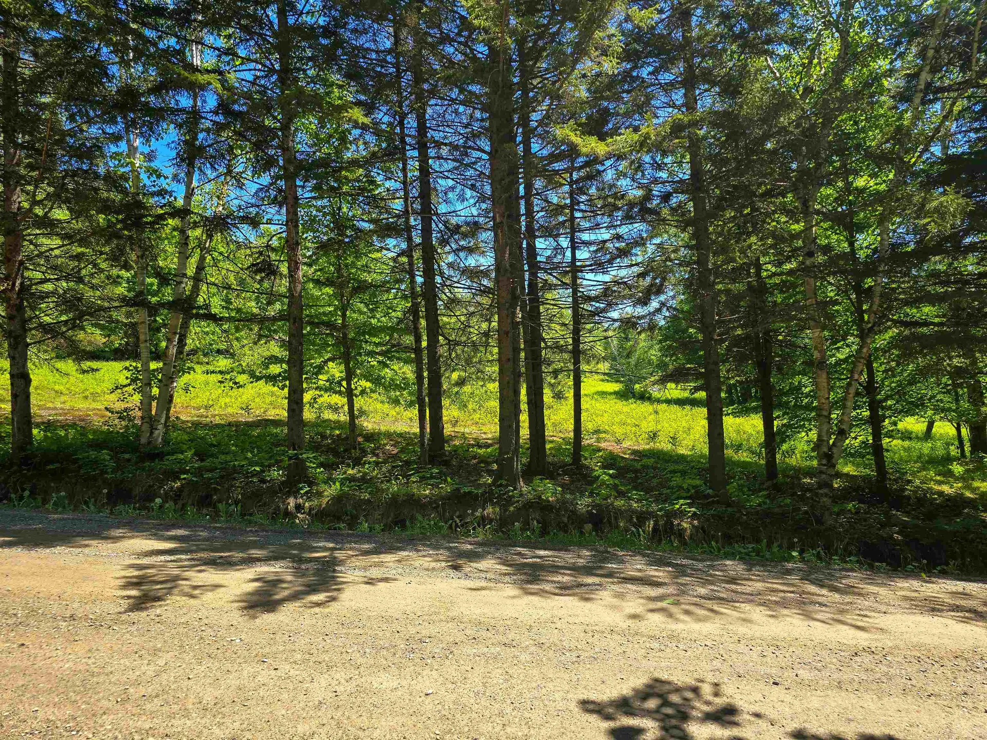 625 French Settlement Road Lincoln VT 05443
