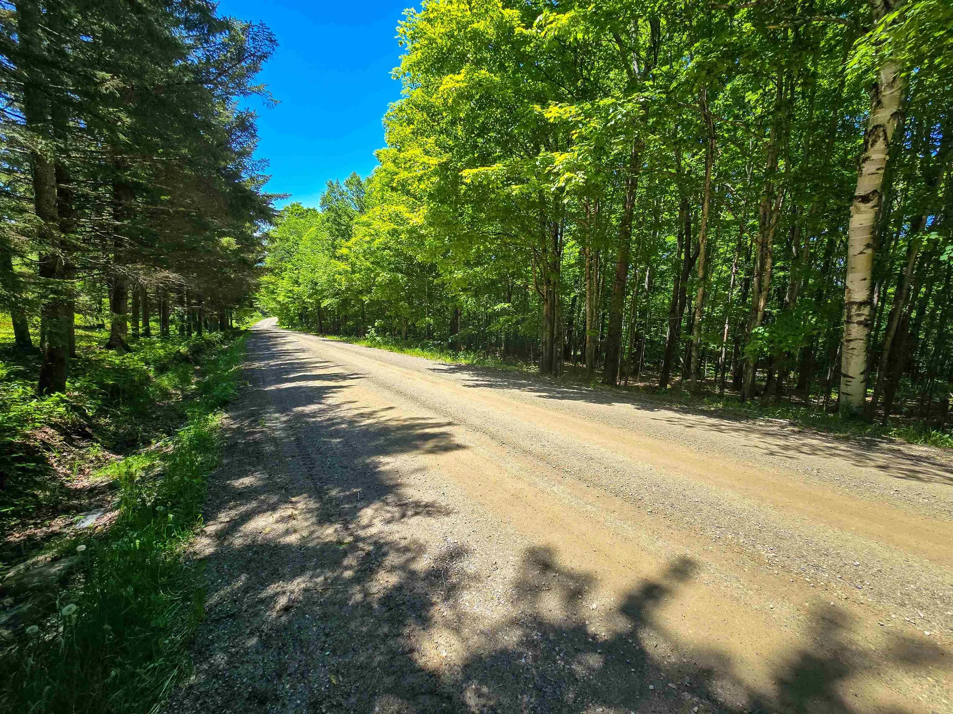 625 French Settlement Road Lincoln VT 05443