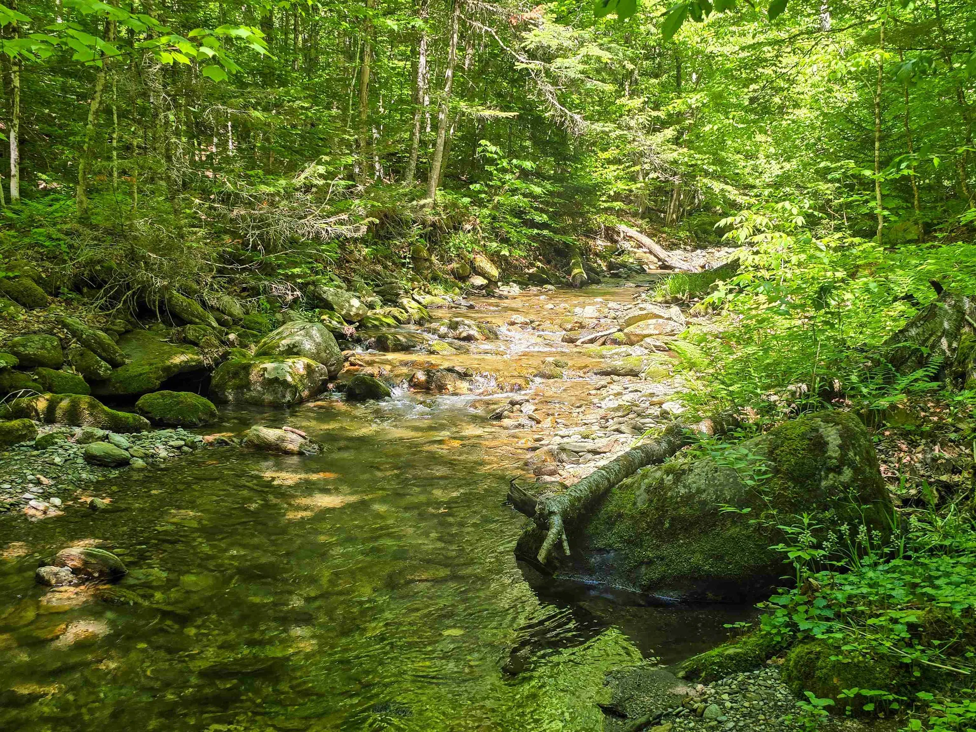 625 French Settlement Road Lincoln VT 05443
