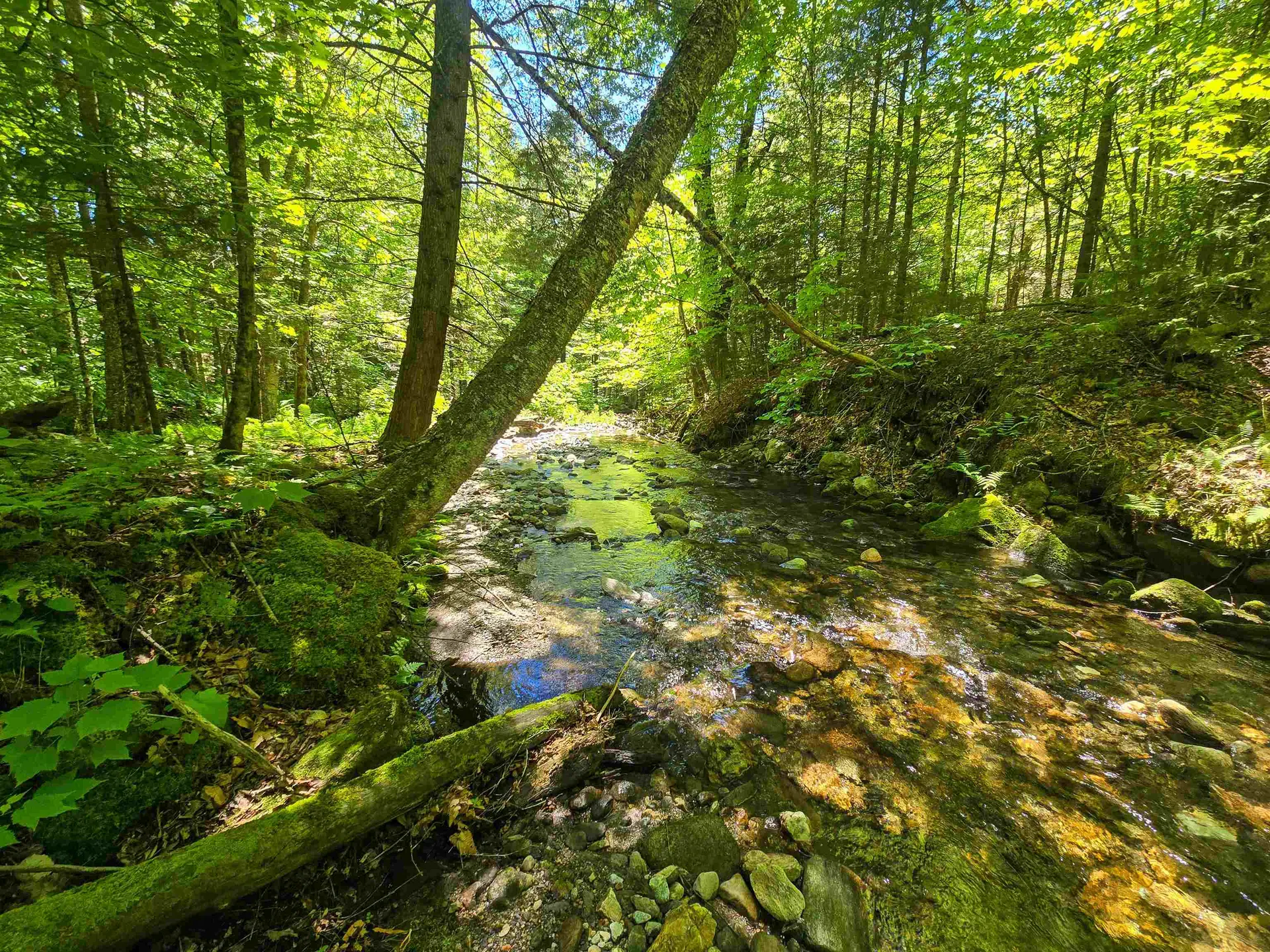 625 French Settlement Road Lincoln VT 05443