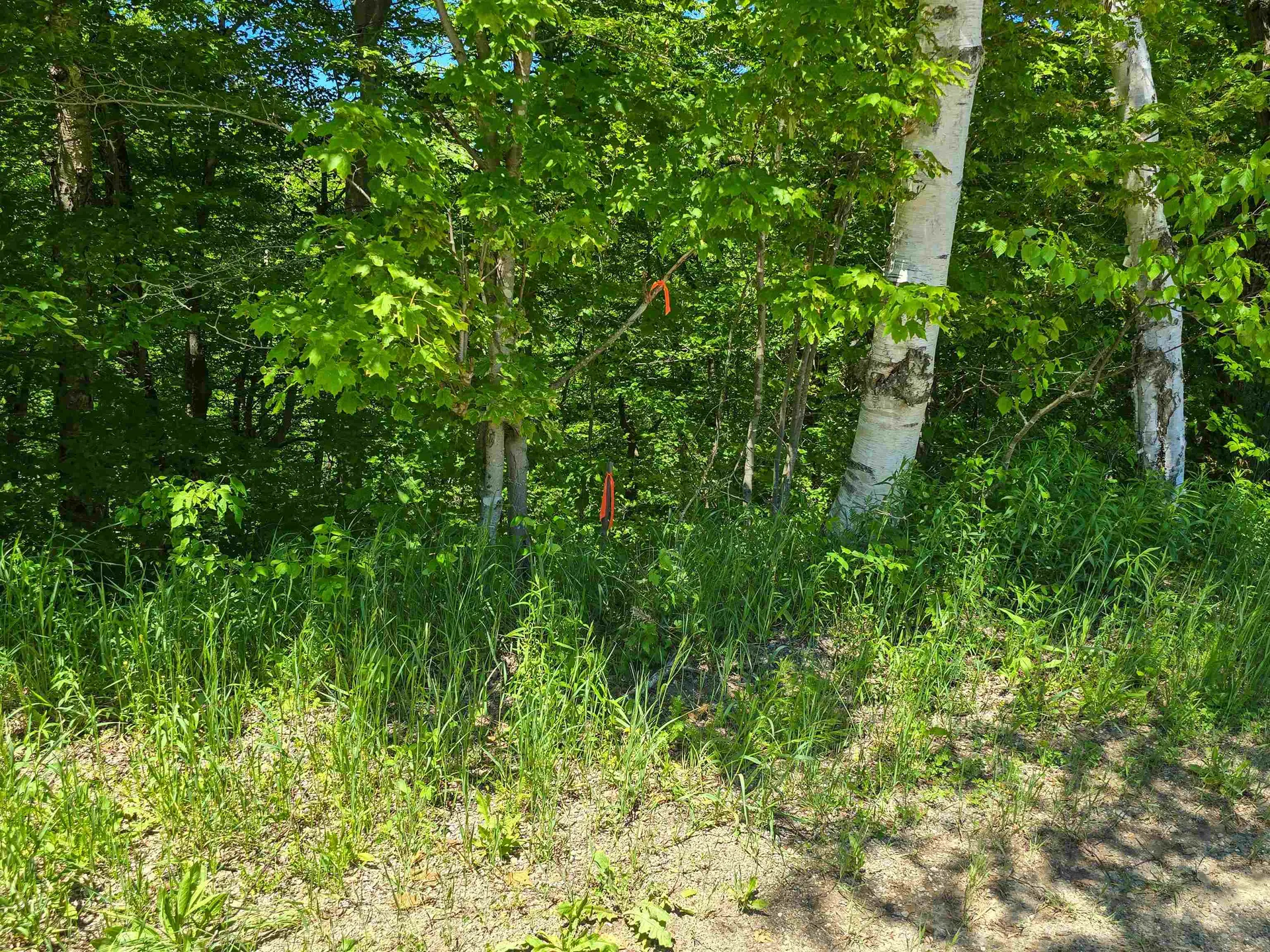 625 French Settlement Road Lincoln VT 05443