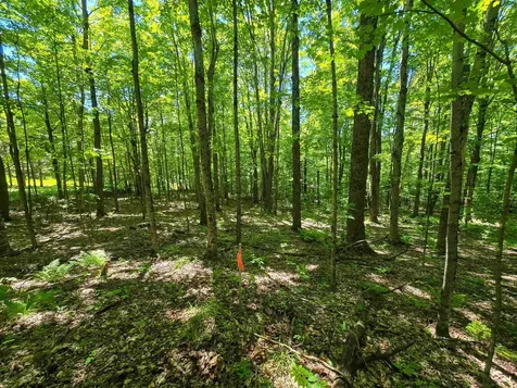 625 French Settlement Road Lincoln VT 05443