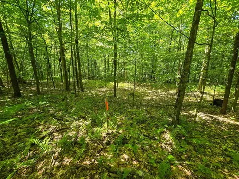 625 French Settlement Road Lincoln VT 05443