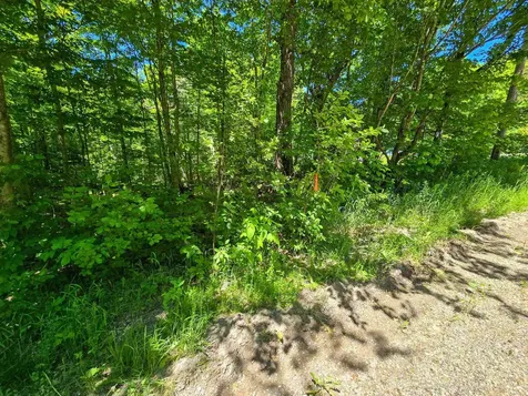 625 French Settlement Road Lincoln VT 05443