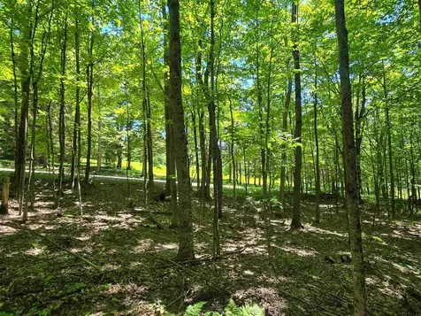 625 French Settlement Road Lincoln VT 05443