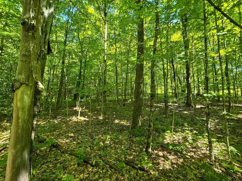 625 French Settlement Road Lincoln VT 05443
