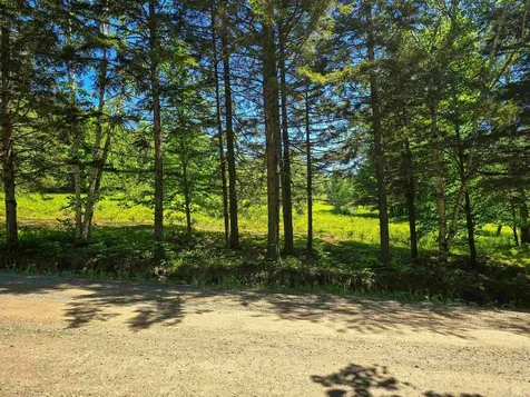 625 French Settlement Road Lincoln VT 05443