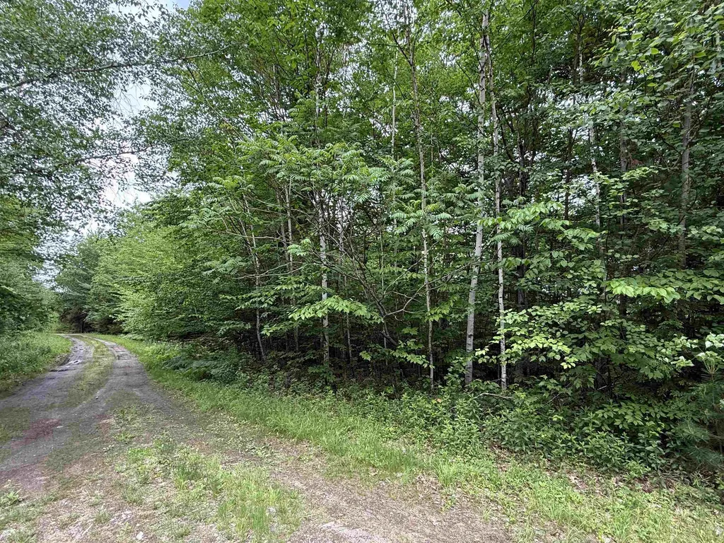 Lot 6 Akerman Road Alexandria NH 03222