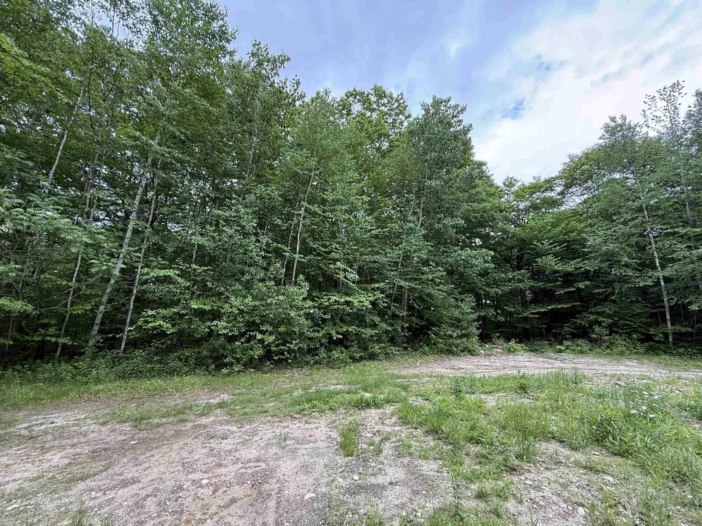 Lot 6 Akerman Road Alexandria NH 03222