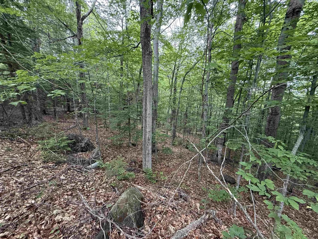 Lot 6 Akerman Road Alexandria NH 03222