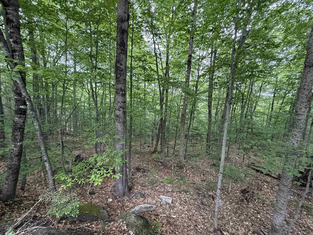 Lot 6 Akerman Road Alexandria NH 03222