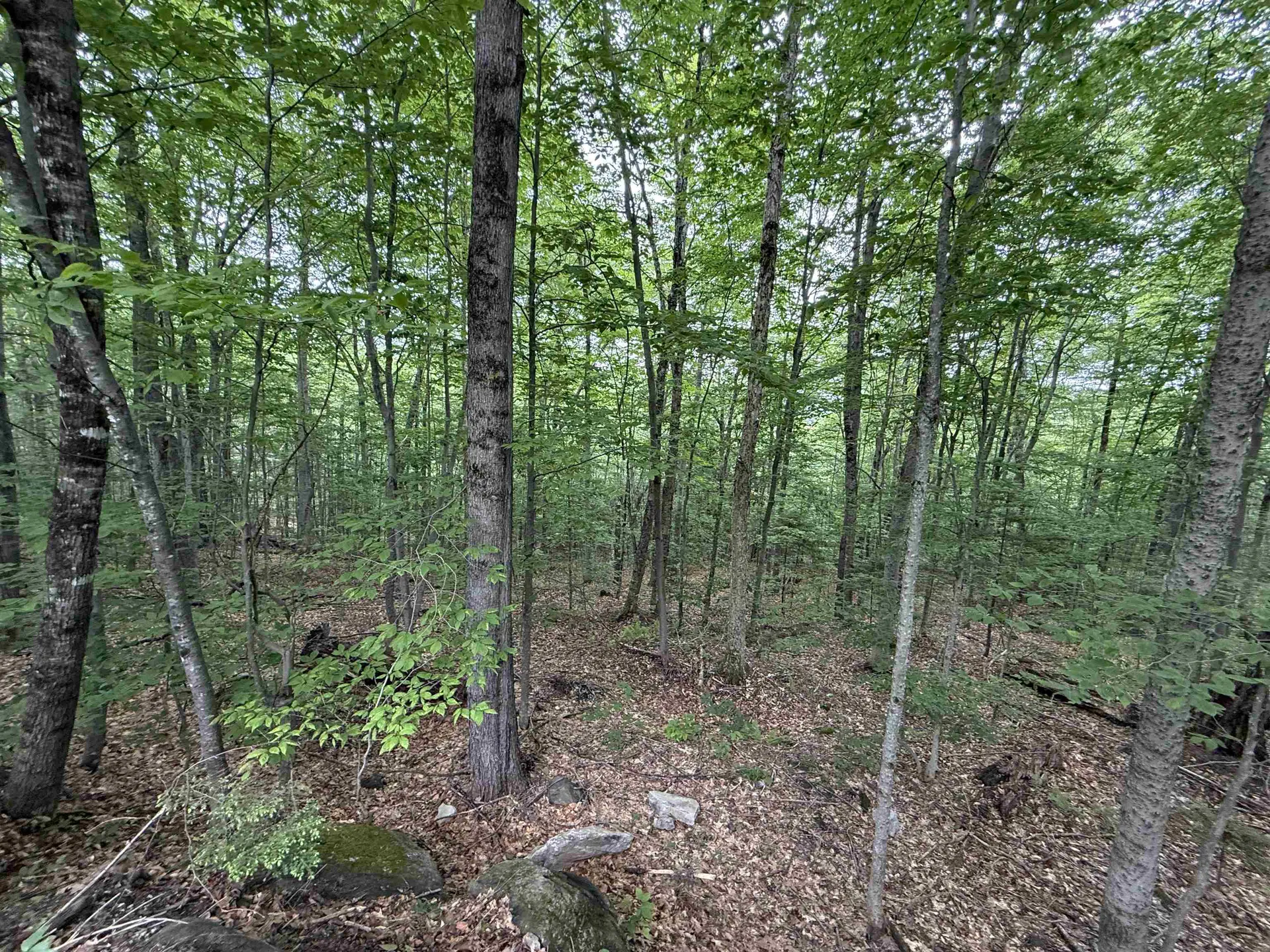 Lot 6 Akerman Road Alexandria NH 03222