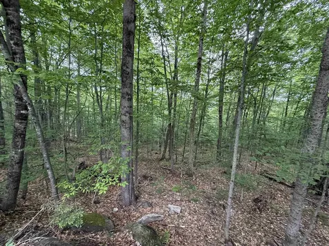 Lot 6 Akerman Road Alexandria NH 03222