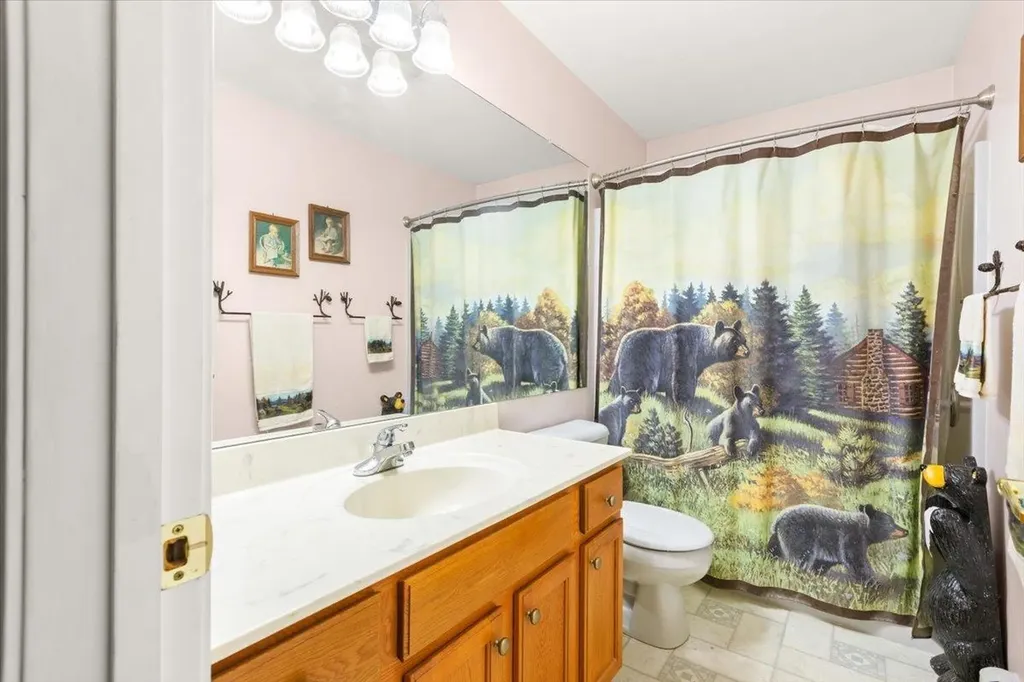 548 Silver Pine Lane Tamworth NH 03886