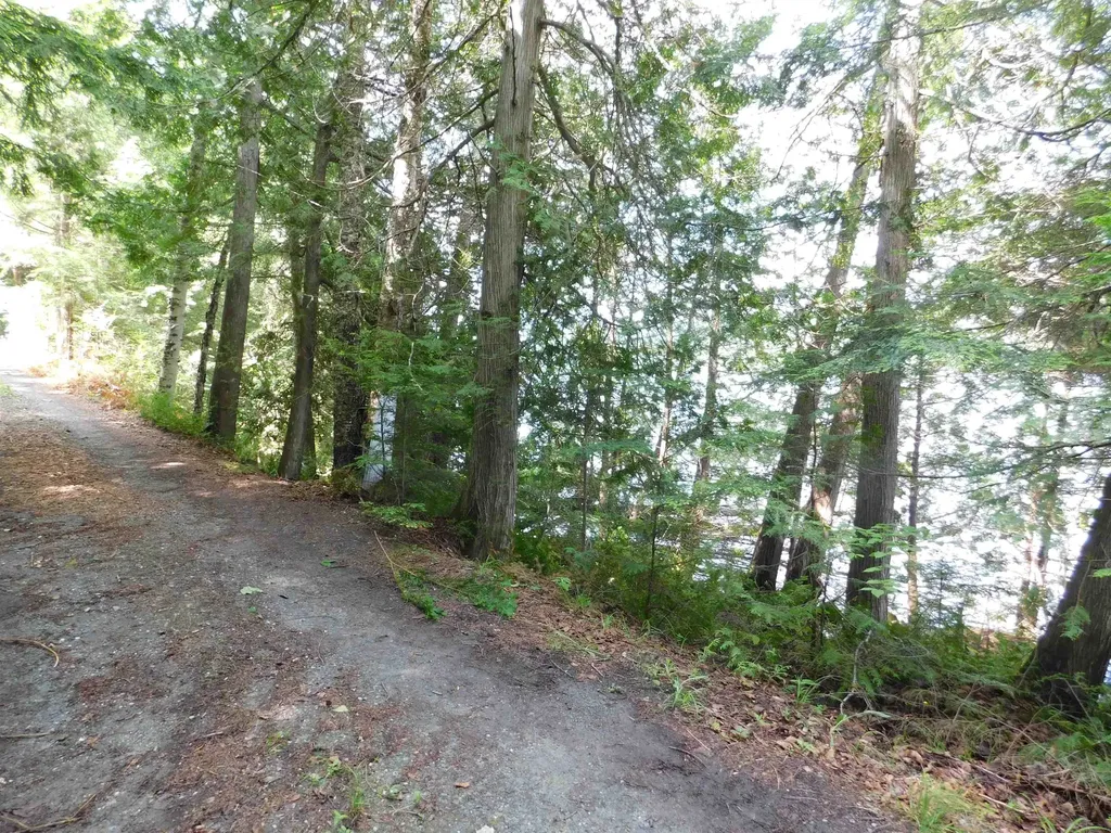 258 Loon Lake Road Woodbury VT 05681