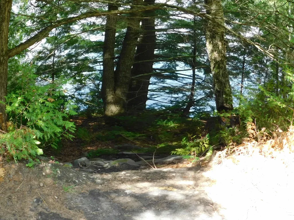 258 Loon Lake Road Woodbury VT 05681