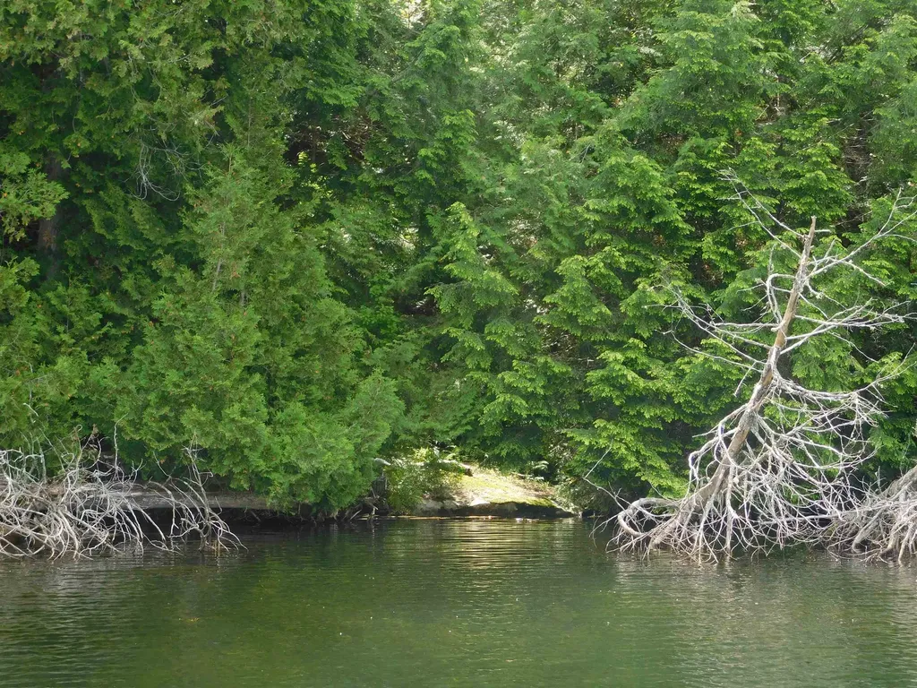 258 Loon Lake Road Woodbury VT 05681
