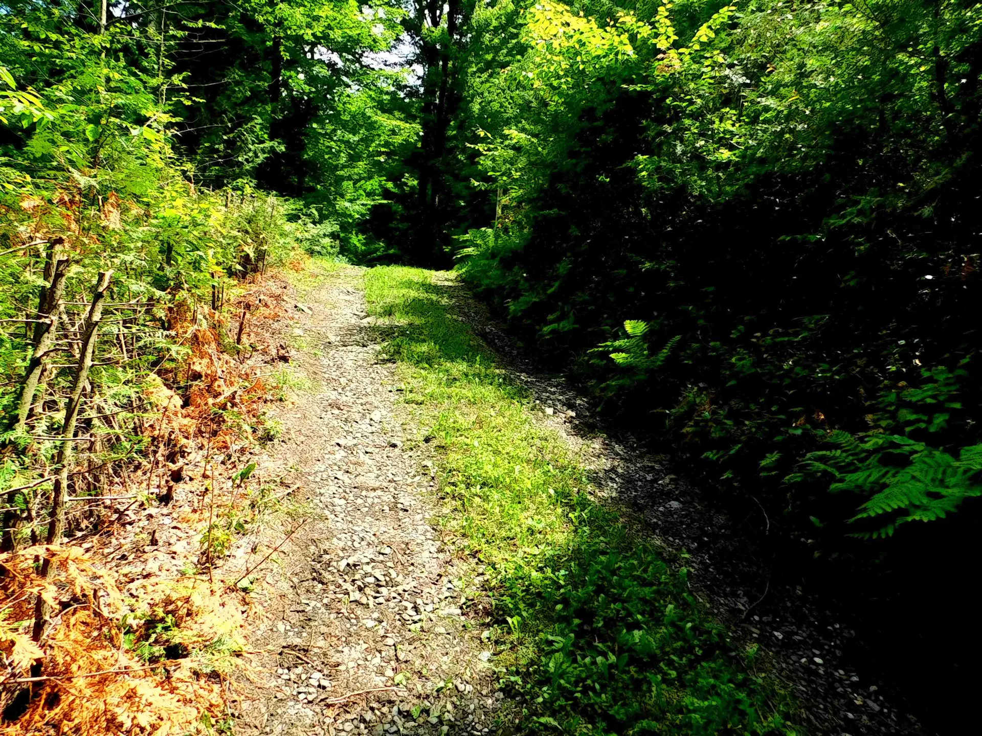 258 Loon Lake Road Woodbury VT 05681