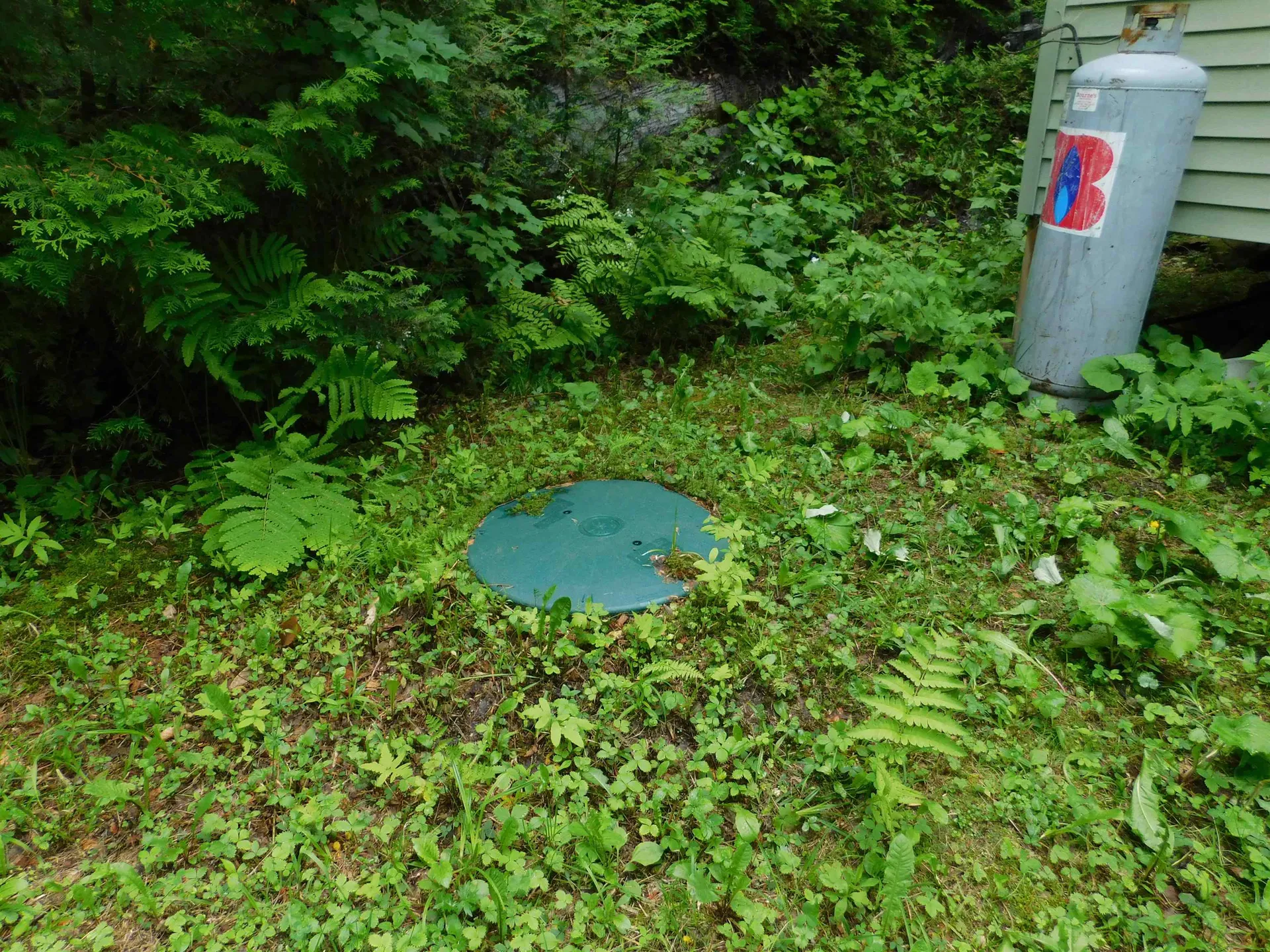 258 Loon Lake Road Woodbury VT 05681
