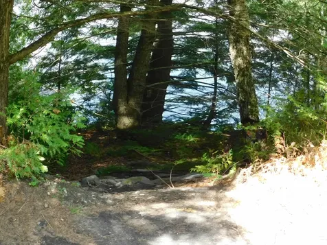 258 Loon Lake Road Woodbury VT 05681