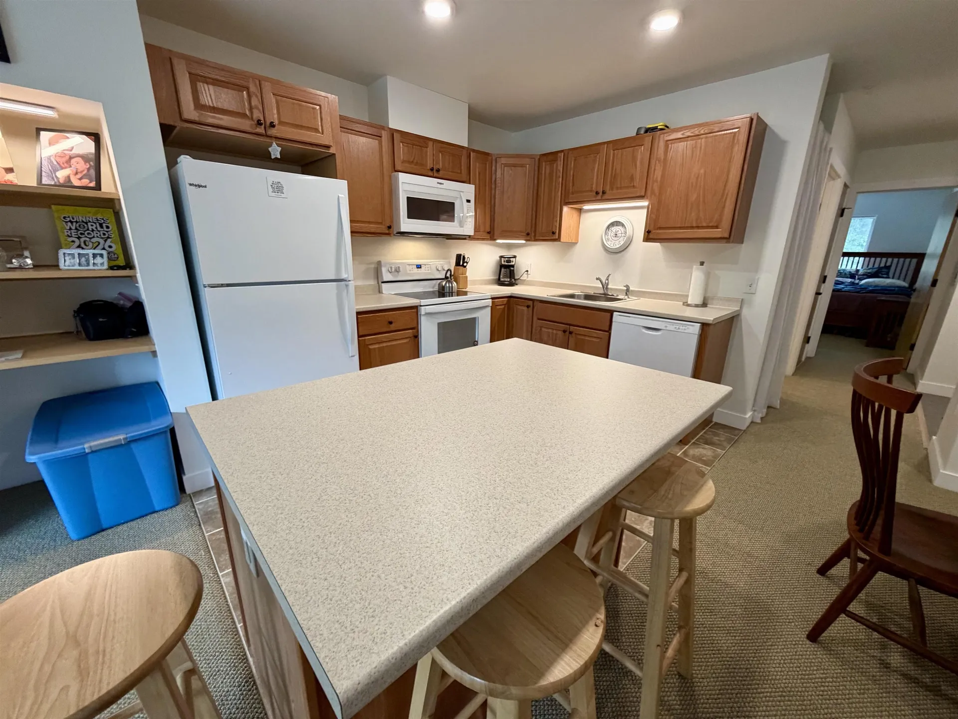 251 Mountainside Drive Warren VT 05674