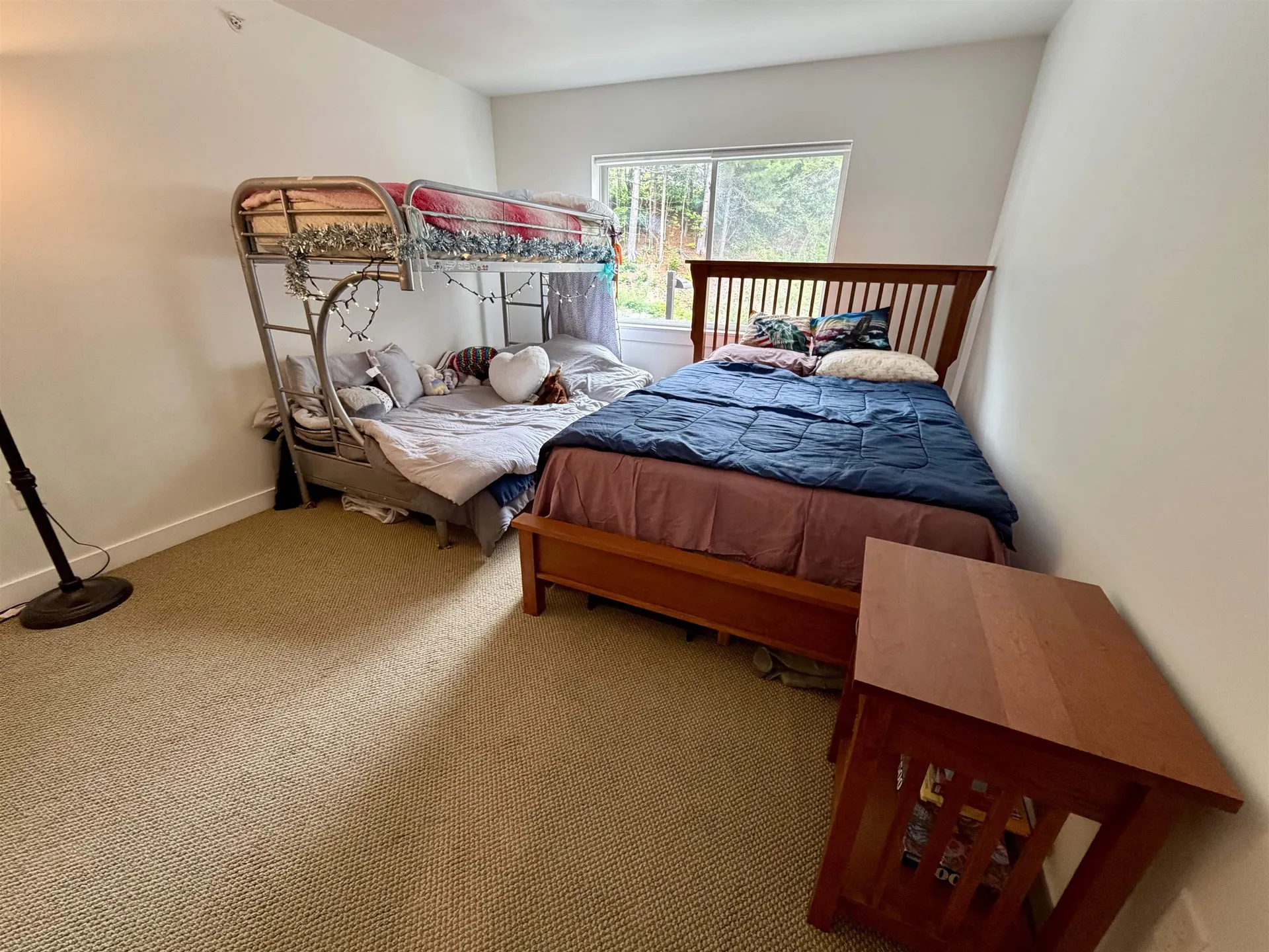 251 Mountainside Drive Warren VT 05674
