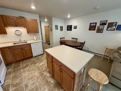 251 Mountainside Drive Warren VT 05674