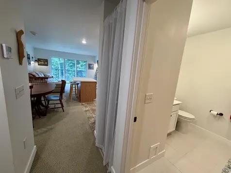 251 Mountainside Drive Warren VT 05674