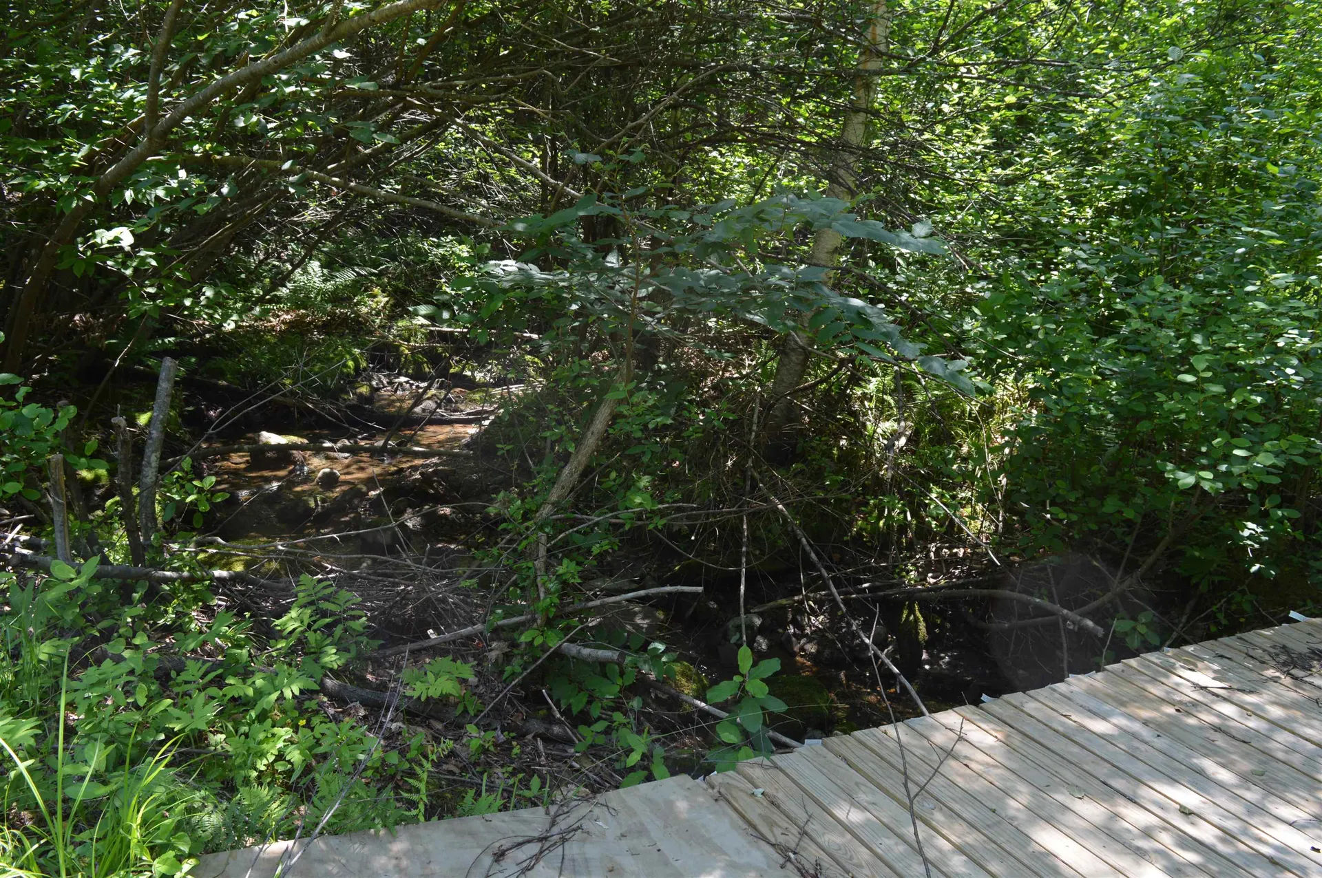 Bradford Road Newport NH 03773