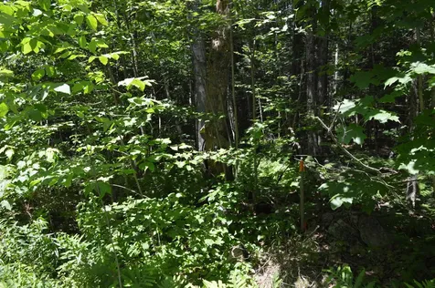 Bradford Road Newport NH 03773