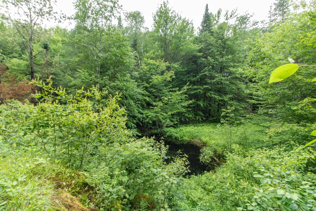 905 Gideons Mill Road Brighton VT 05846
