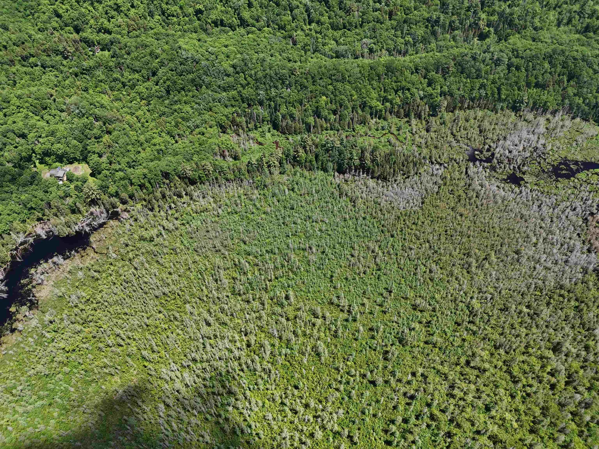905 Gideons Mill Road Brighton VT 05846
