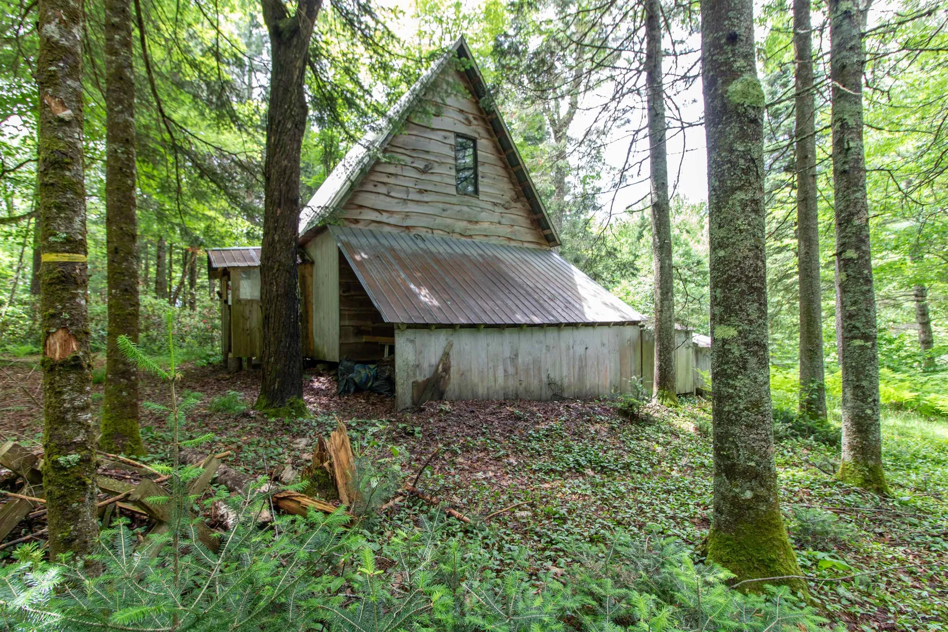 905 Gideons Mill Road Brighton VT 05846