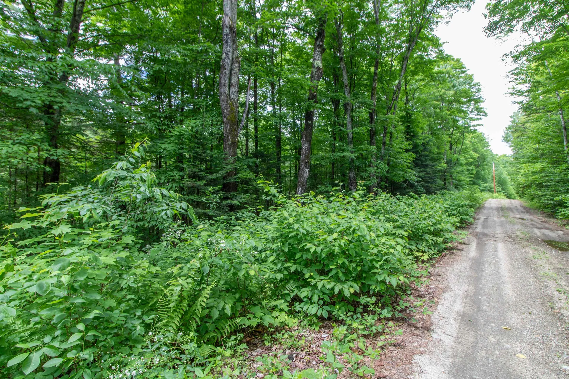 905 Gideons Mill Road Brighton VT 05846