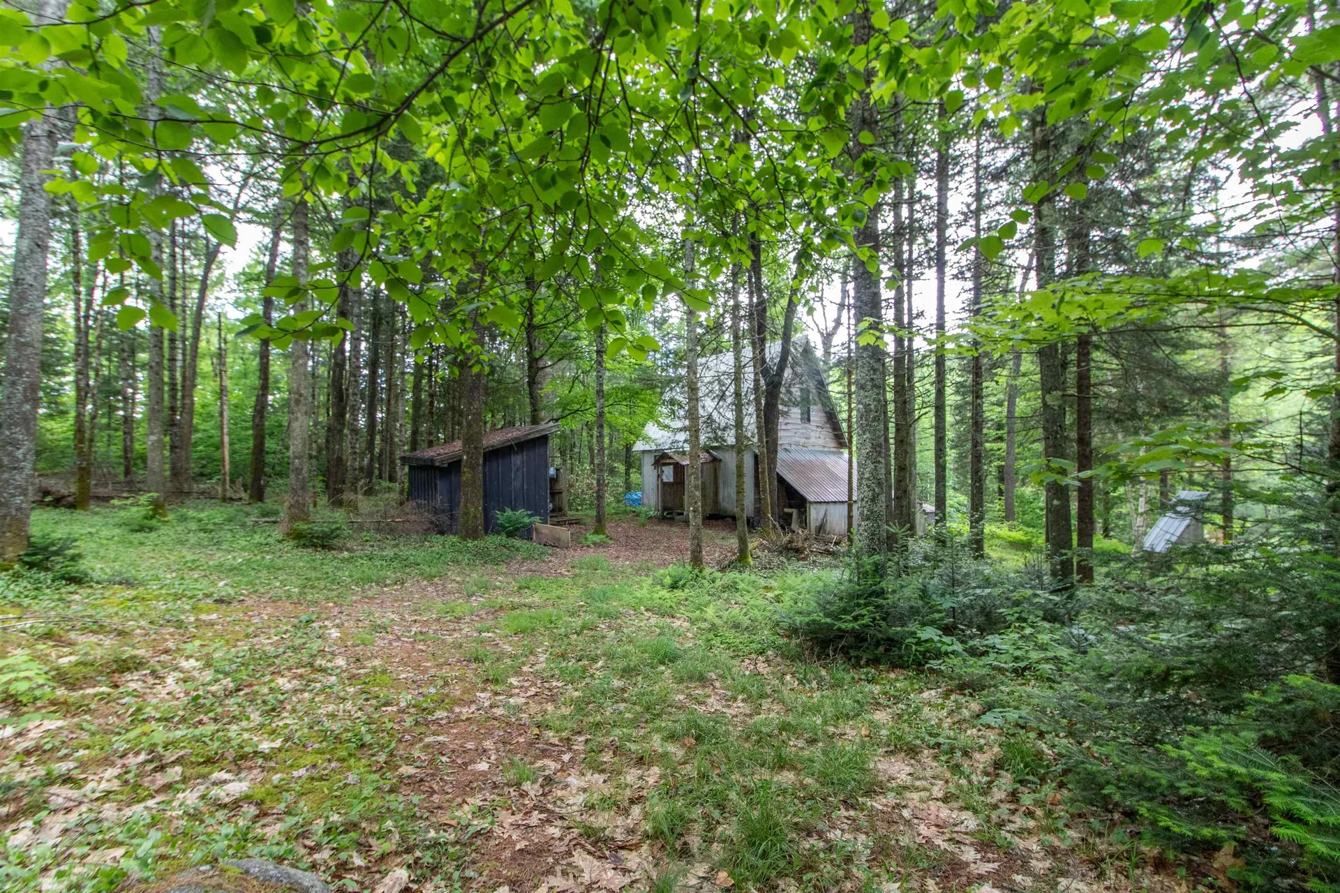 905 Gideons Mill Road Brighton VT 05846
