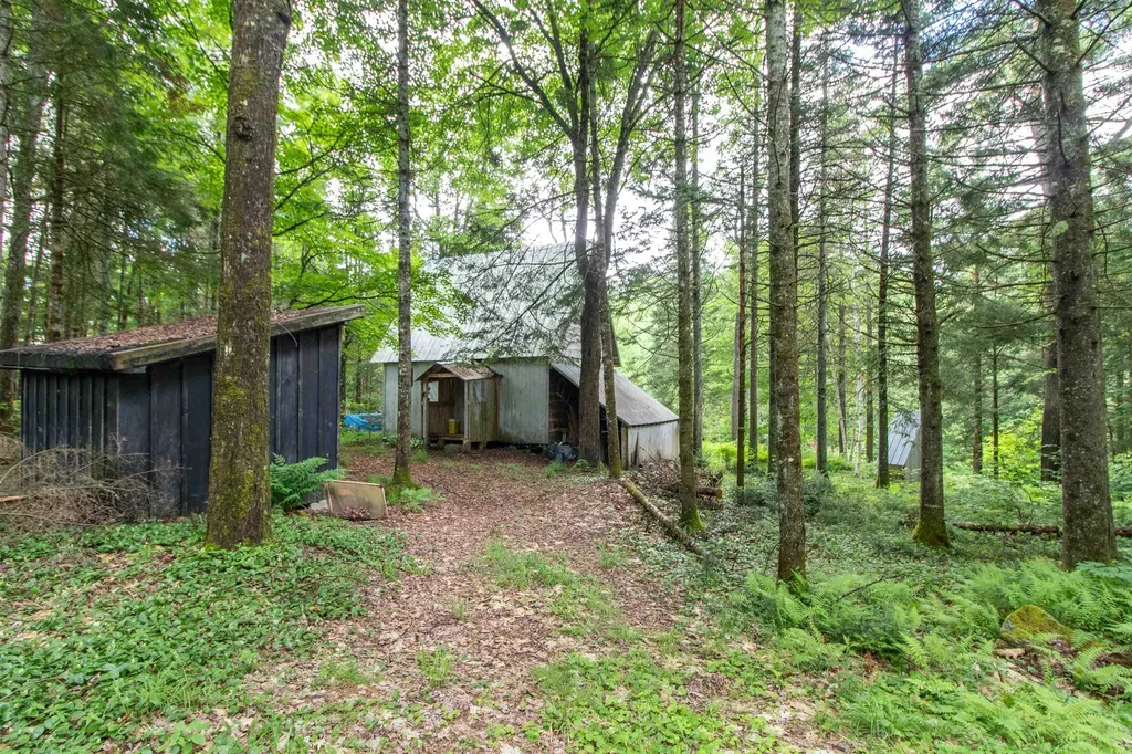 905 Gideons Mill Road Brighton VT 05846