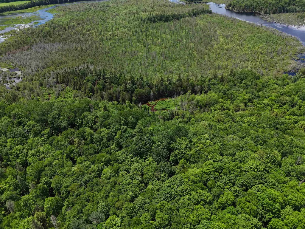 905 Gideons Mill Road Brighton VT 05846