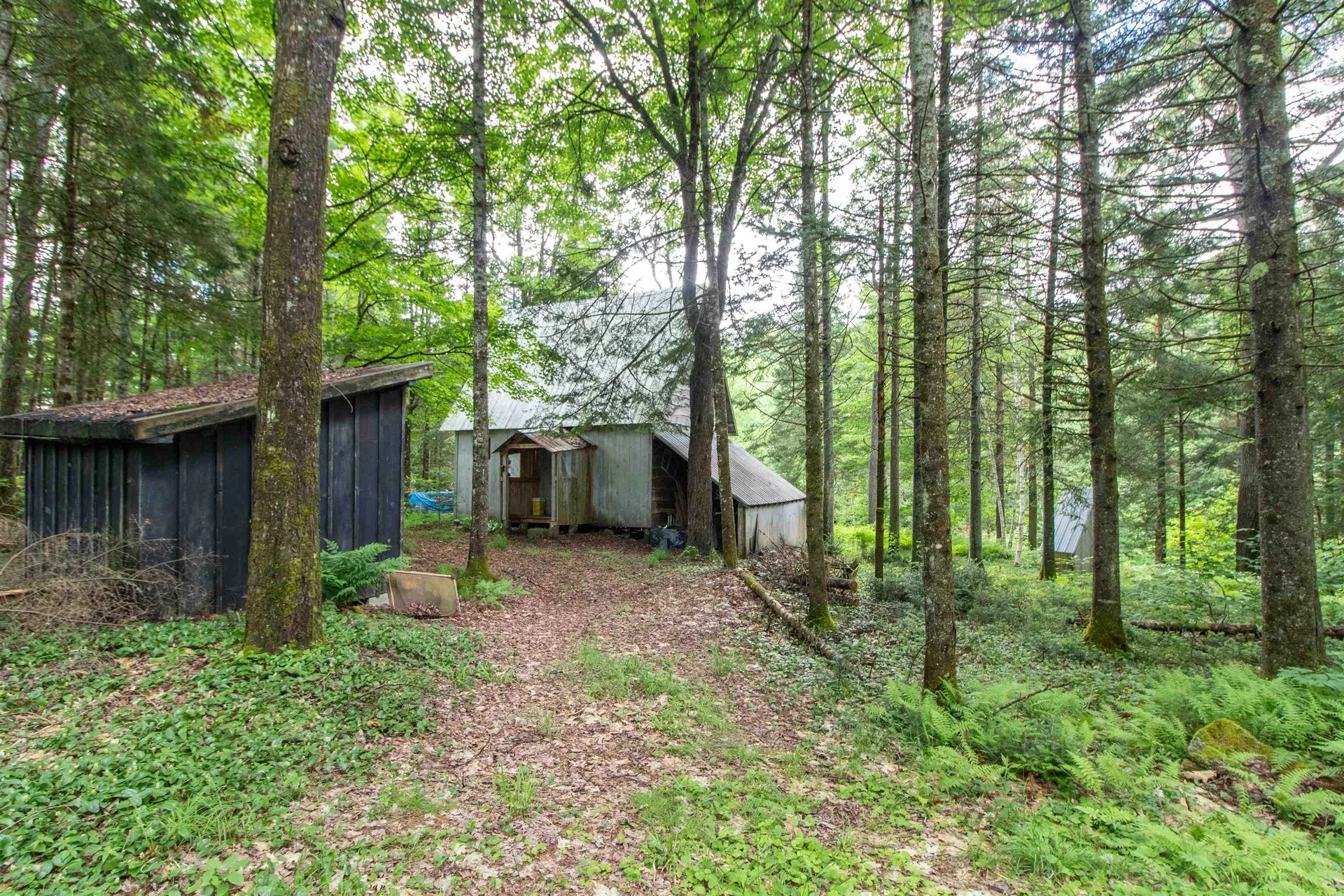 905 Gideons Mill Road Brighton VT 05846