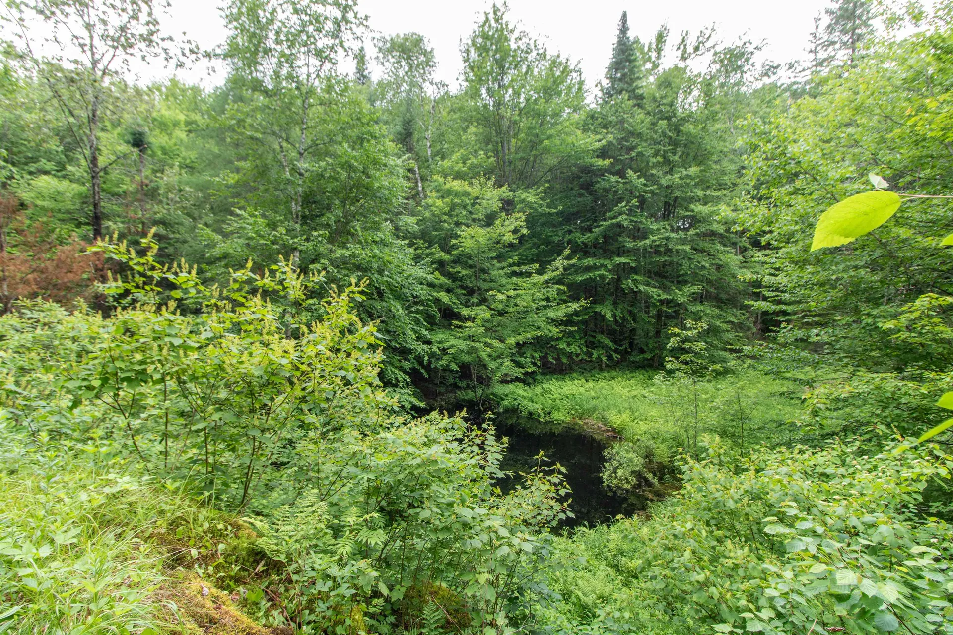 905 Gideons Mill Road Brighton VT 05846